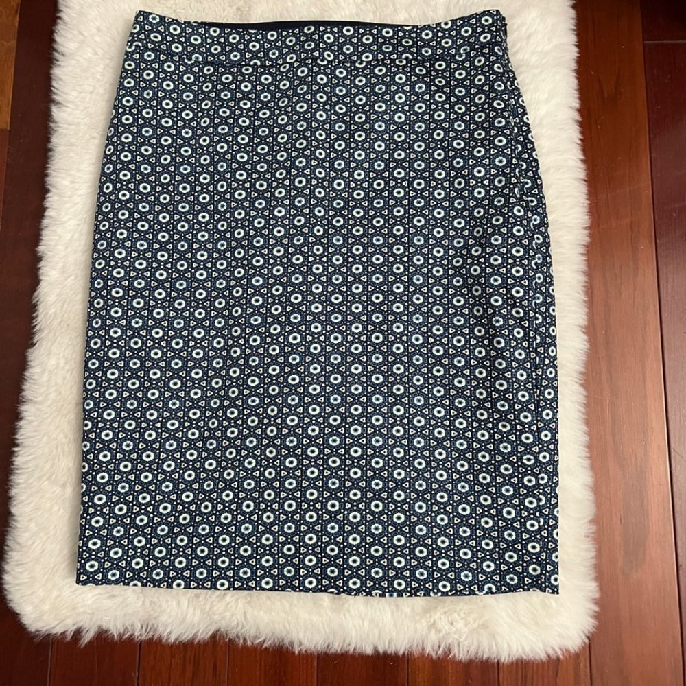 The Limited Blue Spiral Skirt